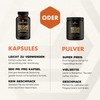 Solve Labs® Lion's Mane Powder, Premium Quality, 100% Fruit Body,