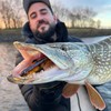 Monkey Lures Swimbait Purge Glider 17.5 cm - Floating Glidebait,