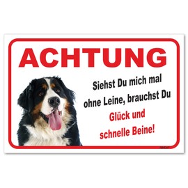 AdriLeo Sign – Caution Bernese Mountain Dog – Without Lead – (30 x 40 cm) / Warning Dog Guard Dog Robust Durable UV-Resistant Weatherproof Warning Sign