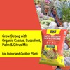 LGM Cactus & Succulent Palm & Citrus Mix, Ideal Potting