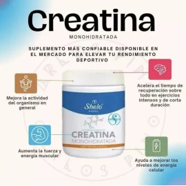 Sheló Nabel Creatina Monohidratada En Polvo 460g                                                                                                      