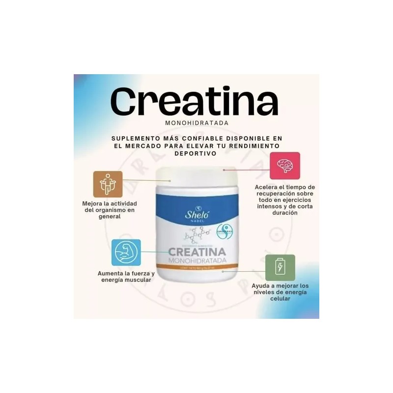 Sheló Nabel Creatina Monohidratada En Polvo 460g