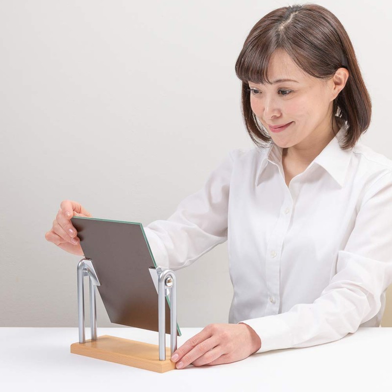 シェルダンDXウッディシリーズスタンドミラー H-218