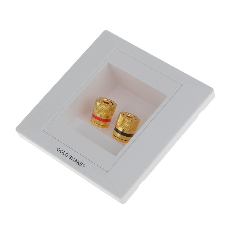 BAOBLADE Speaker Terminal Square Shape Wall Face Plate with 2