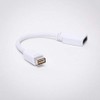 FireFold Mini-DVI to HDMI Adapter - Video Adapter Cable AD-MDVI-HDMI