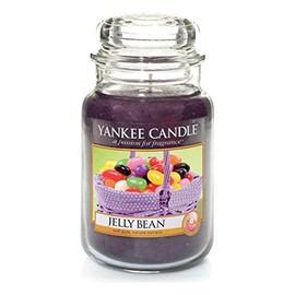 Yankee Candle Large Jar Candle, Purple