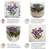 Stitchmelody Stamped Cross Stitch Kits,11CT Printed Pattern Embroidery Kit DIY