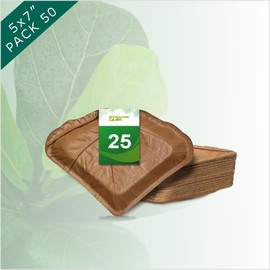 Indochine Art Leaf PLate Made From Seagrape Leaf 5x7 inch | Pack 25 | Premium Disposable Plates | Eco Friendly, Compostable & Biodegradable | Best For Birthday Party, Wedding