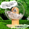 SATOMO Hamster, Quiet Design, Turning Wheel, For Small Animals, Wooden
