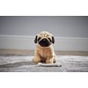Living Nature Soft Toy Gift Bundle - Plush Pug Dog