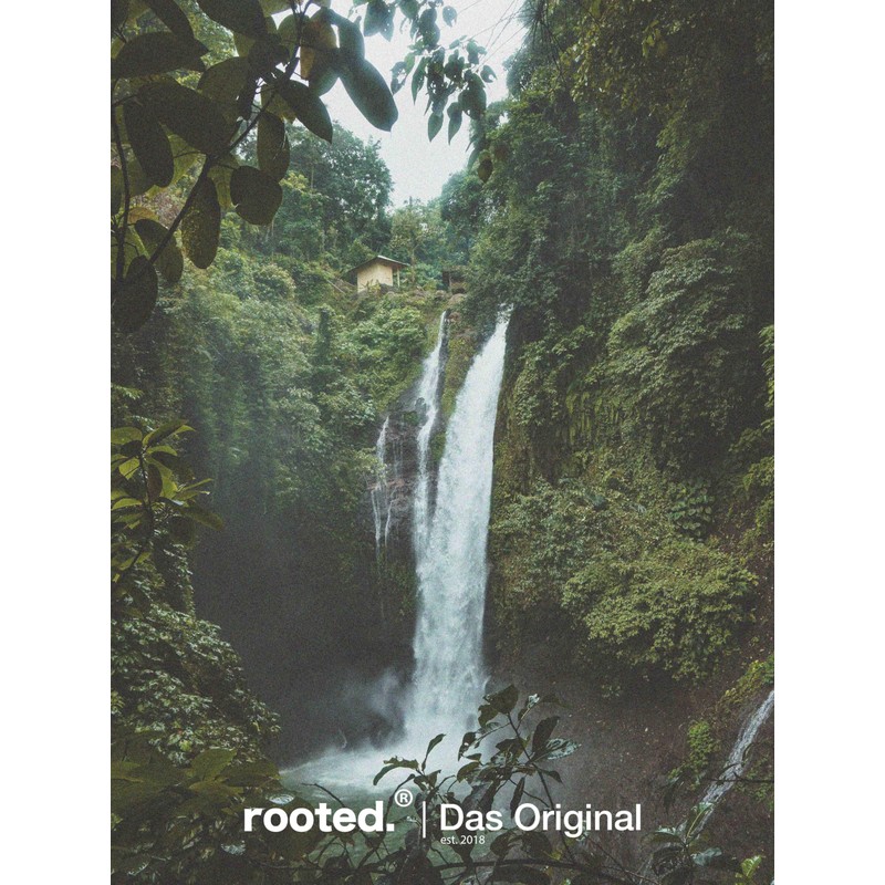 rooted.® Organic pine oil 10 ml