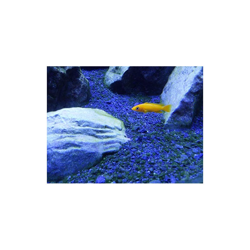 Tanganyika Buffer, 4 kg / 8.8 lbs