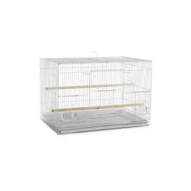 A&E Cage Co. 30"x18" Flight in Color Retail Box (single pack)