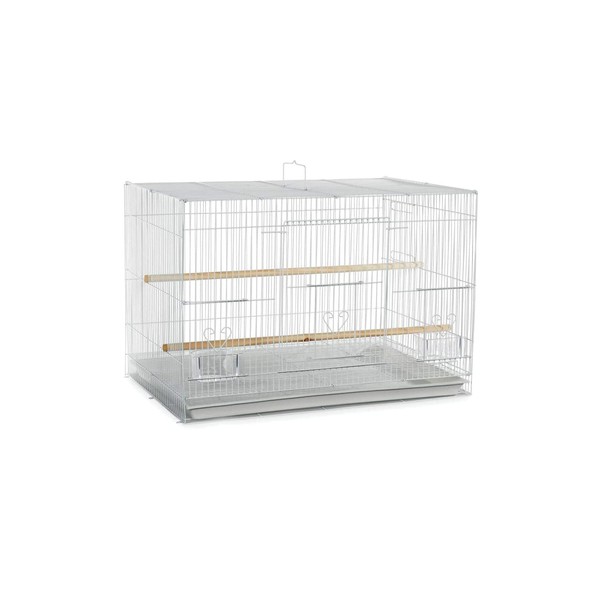 A&E Cage Co. 30"x18" Flight in Color Retail Box (single