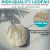 36 pcs/Set Natural Exfoliating Face Pad Loofah Sponge Facial Brush