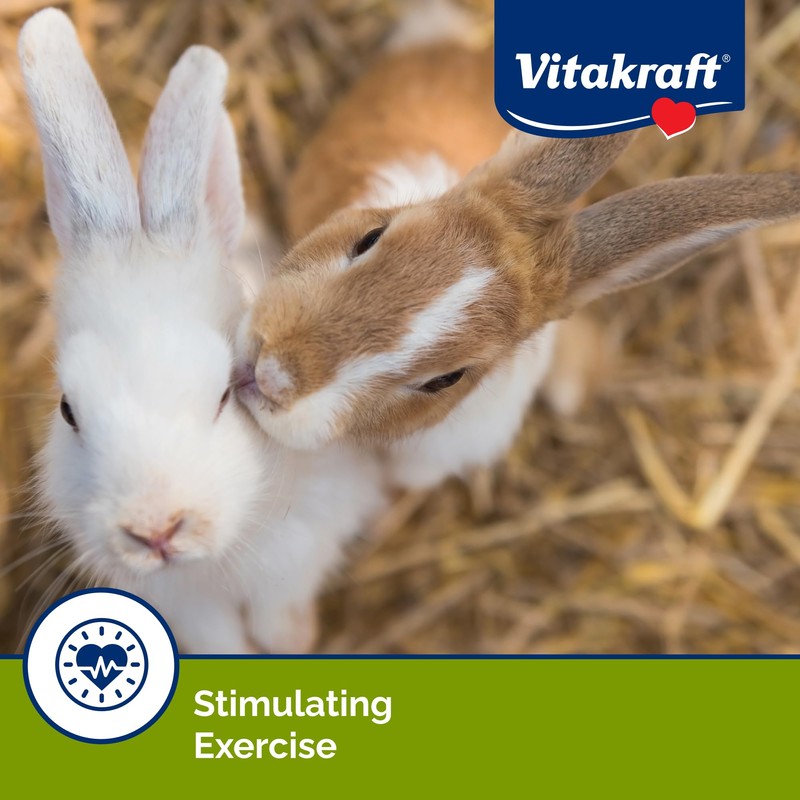 Vitakraft Crunch Sticks Rabbit Treat - Apple and Cherry -