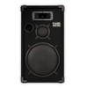 Acoustic Audio by Goldwood CR12 PA Karaoke DJ 12" Speaker