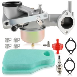 Carbhub 491590 193700 392152 Carburetor for 491590 390811 392152 Carb Fits 191700 192700 193700 Engine Series with Gasket Air oil filter Kit