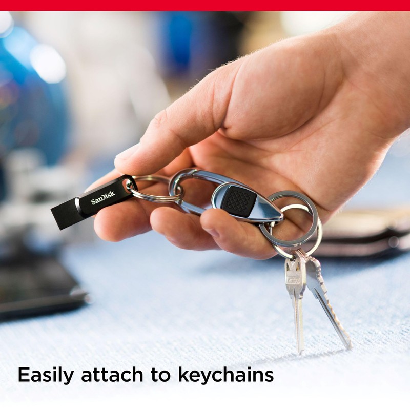 Sandisk SDDDC3-256G-G46 USB Memory 256GB