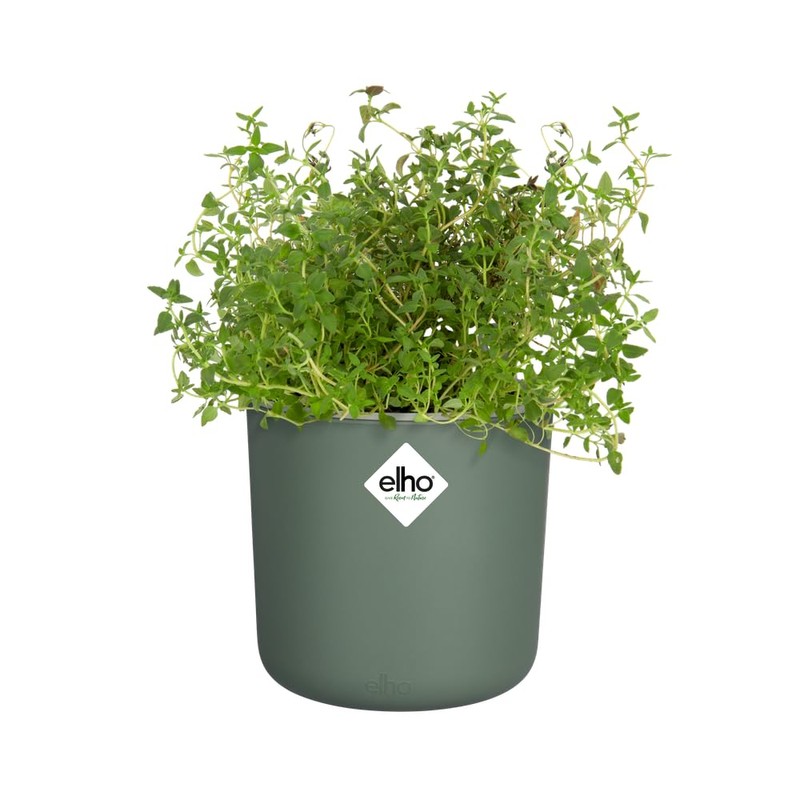 elho Happy Herbs 15 - Herb Pot Self-Watering - Propagation