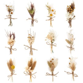Grekywin Mini Dried Flower Bouquets, 12 Pack Natural Pampas Grass, Small Dried Embossing Florat with Stem, 5.5 Inch Small Floral Bundles for Wedding, Home Decor, Crafts