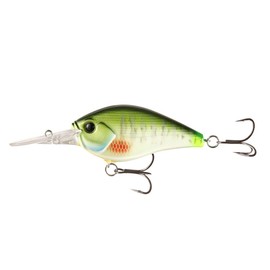 13 Fishing Cliff Banger 15ft Dream Gill