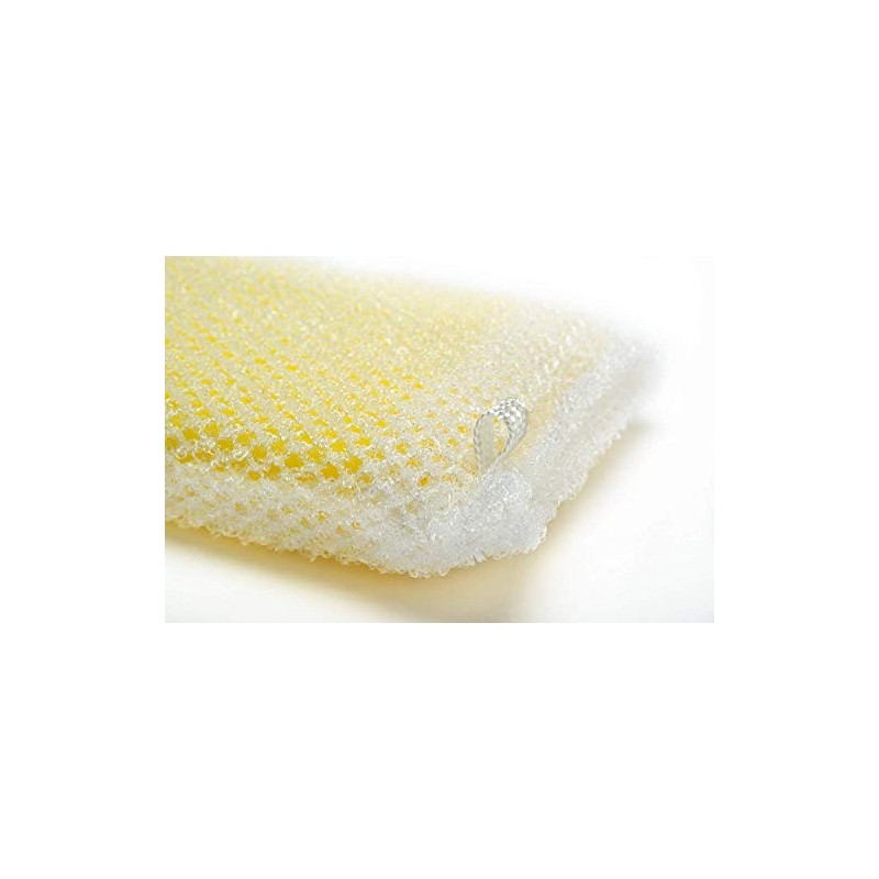 Aisen Foaming Sponge Net, Set of 10