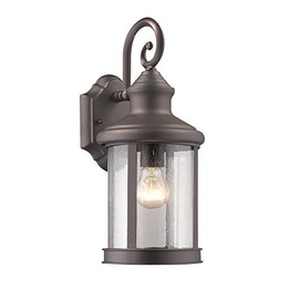 Chloe Lighting CH822049RB16-OD1 Transitional 1 Light Rubbed Bronze Outdoor Wall Sconce 16" Height