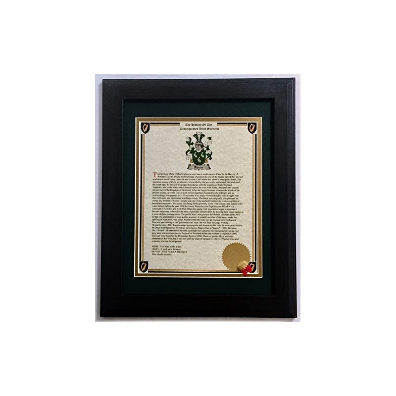 Coat of Arms and Last Name History Print Set (2