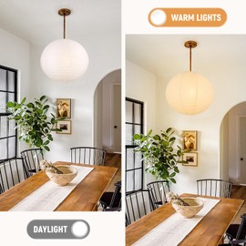 White Round Paper Lantern Lampshades set of 2, 12"x12'' Small Paper Lanterns Pendant Light Shades, Chinese Foldable Design for Living Room, Bedroom, Ceiling Lampshade Party Decor