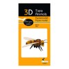Fridolin 3D Paper Model Bee