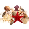 Wattkiste Musselmix Beautiful Decorative Shells for Decorating and Crafting, Large