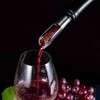 CHEER Multi-function Wine Pourer, Ideal Filter to Open Up Red