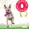 Kong Extreme Goodie Bone, Color Negro, Grande