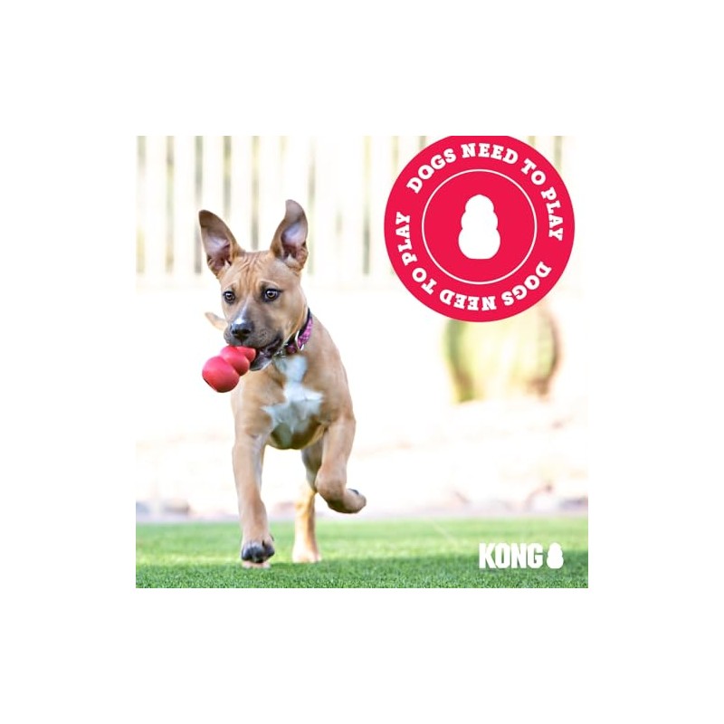 Kong Extreme Goodie Bone, Color Negro, Grande