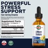 KAL Lithium Orotate Dropins, Chelated | Mood & Relaxation Support