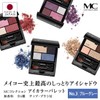 Beakers MC Collection Eye Color Palette, No.3, Blue Gray (Eyeshadow,