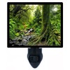 Night Light, Tropical Jungle, Trees, Forest, Green Moss, Landscape LED