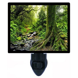 Night Light, Tropical Jungle, Trees, Forest, Green Moss, Landscape LED Night Light
