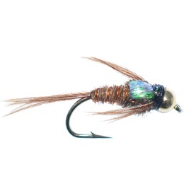 The Fly Fishing Place Bead Head Flash Back Pheasant Tail Nymph Fly Fishing Flies - Trout and Bass Wet Fly Pattern - 6 Flies Hook Size 16