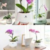 Meshpot 12cm Orchid Pots with Holes for Repotting, Set of