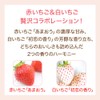 House of Rose, Body Smoother ST (Strawberry Scent), 12.8 oz