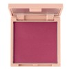 Iroasobi Powder Cheek 04 Classic Plum 0.2 oz (7 g)