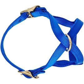 Perri's Mini Nylon Cow Halter, Royal Blue, Size 0