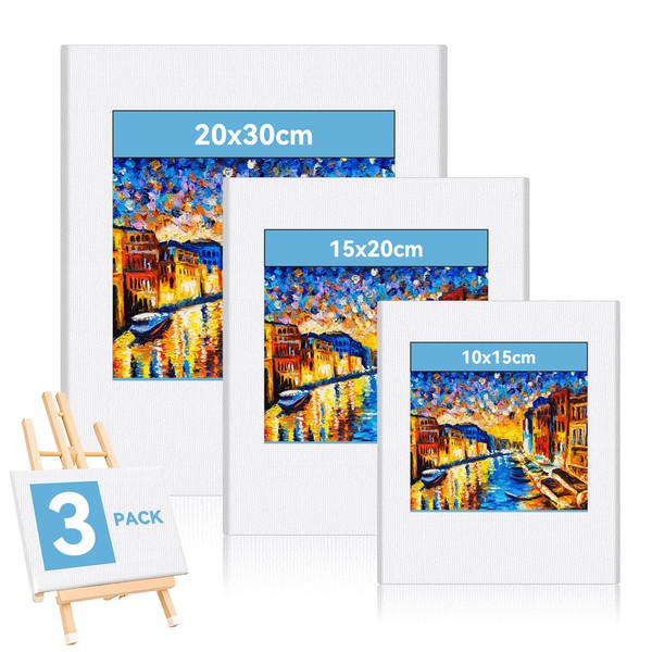 XiaoLidm 3 Stück Leinwand zum Bemalen, 30x20,20x15,15x10cm Kleine Leinwände zum