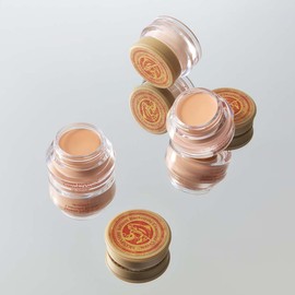SKINFOOD Salmon Darkcircle Concealer 10g - 1 Blooming