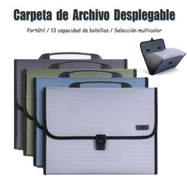 Carpetas Organizadoras, Folder Organizador con 13 Bolsillos, Carpeta Organizador de Documentos Expandible de Acordeón, Organizador de Archivos Tamaño A4, Gran Capacidad, Portátil (Gris)