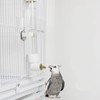 Parrot Water Dispenser Automatic Bird Water Feeder Suspended Bird Cage