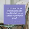 Aera Mini Soft Pants - Essential Oil for Home –