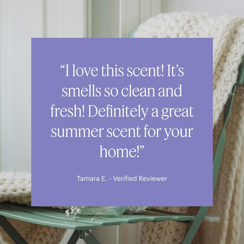 Aera Mini Soft Pants - Essential Oil for Home –